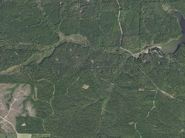 Aerial image of Poison Springs Camping Area #C-54
