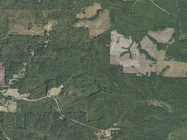 Aerial image of Poison Springs Camping Area #C-8