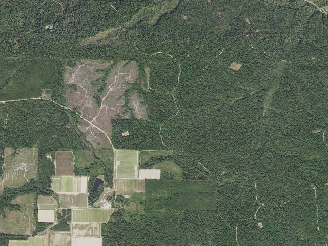 Aerial image of Poison Springs Camping Area #C-80