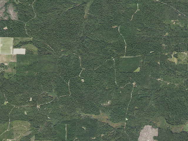 Aerial image of Poison Springs Camping Area #C-97