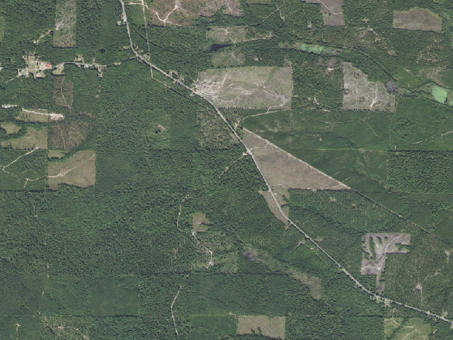 Aerial image of Poison Springs Camping Area #D-112