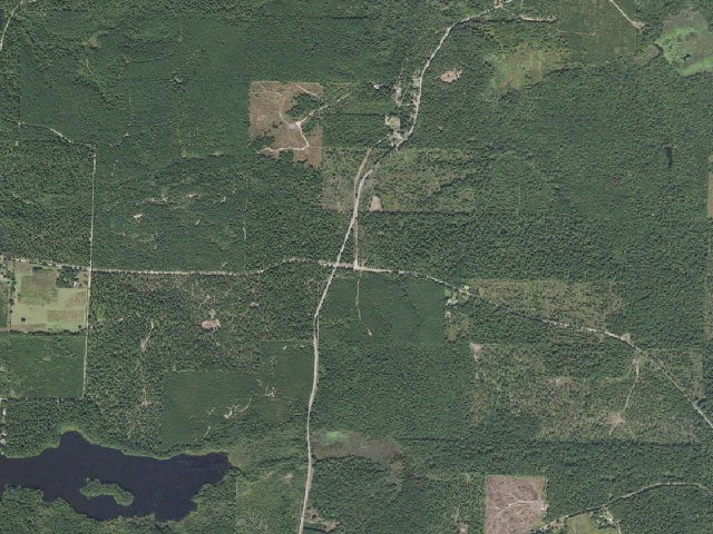 Aerial image of Poison Springs Camping Area #D-138