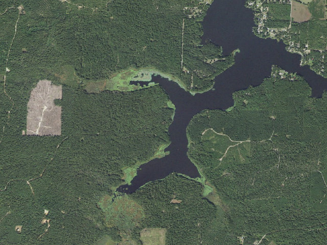 Aerial image of Poison Springs Camping Area #D-178