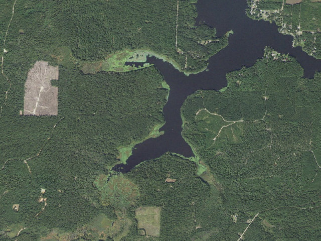 Aerial image of Poison Springs Camping Area #D-181