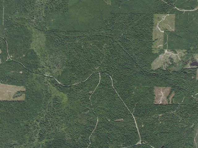 Aerial image of Poison Springs Camping Area #D-2