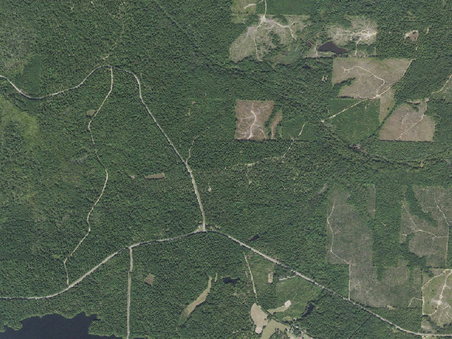 Aerial image of Poison Springs Camping Area #D-29