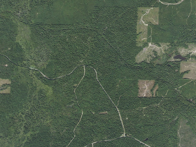 Aerial image of Poison Springs Camping Area #D-3