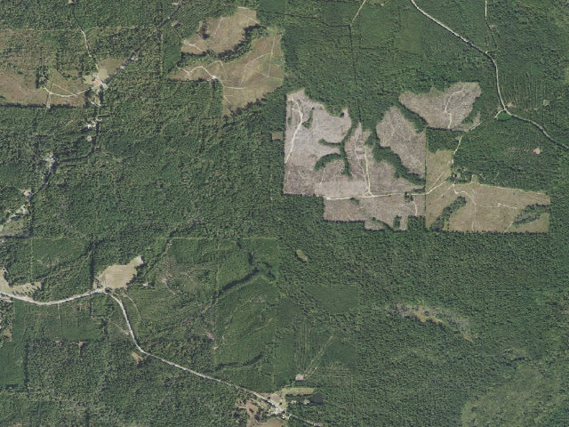 Aerial image of Poison Springs Camping Area #D-4