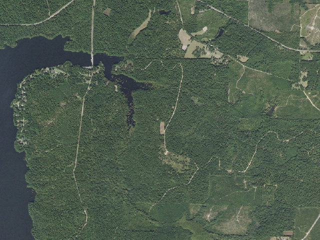 Aerial image of Poison Springs Camping Area #D-66