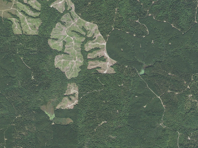 Aerial image of Poison Springs Camping Area #E-3