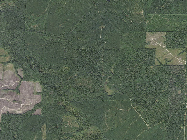 Aerial image of Poison Springs Camping Area #F-19