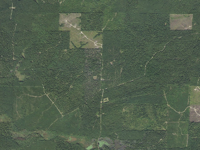 Aerial image of Poison Springs Camping Area #F-29