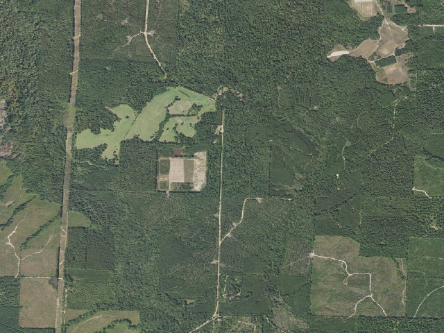 Aerial image of Poison Springs Camping Area #F-3