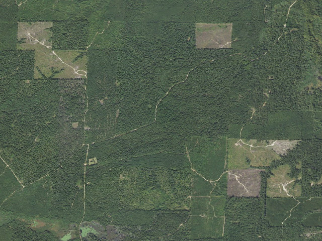 Aerial image of Poison Springs Camping Area #F-31