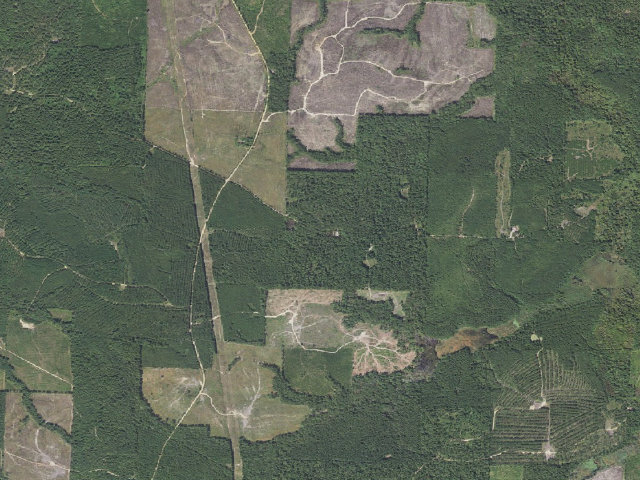 Aerial image of Poison Springs Camping Area #F-39