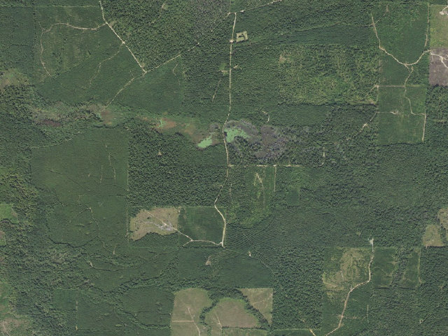 Aerial image of Poison Springs Camping Area #F-49