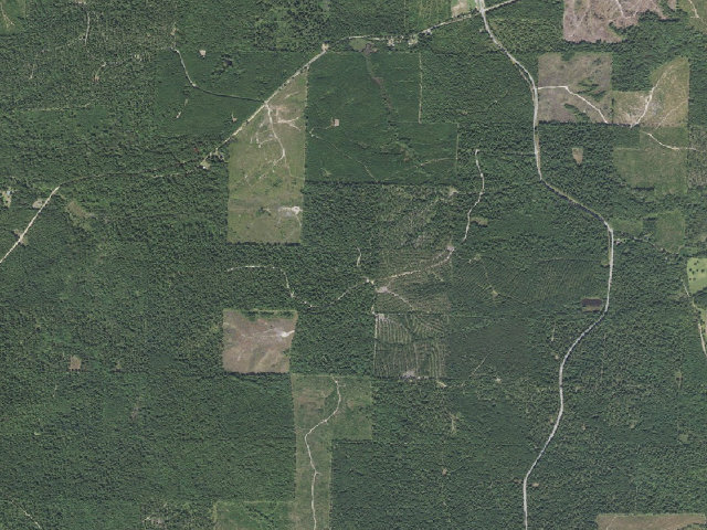 Aerial image of Poison Springs Camping Area #G-12