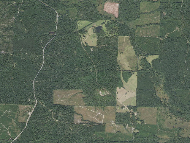Aerial image of Poison Springs Camping Area #G-32