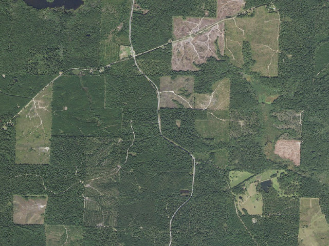 Aerial image of Poison Springs Camping Area #G-6