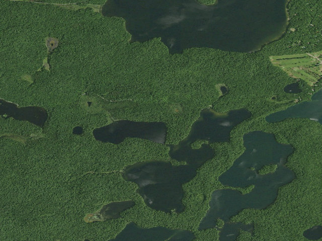 Aerial image of Polliwog Pond Site 1 (Saranac Lakes Wild Forest)