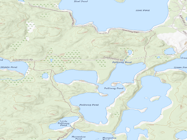 USGS topographic map of Polliwog Pond Site 1 (Saranac Lakes Wild Forest)