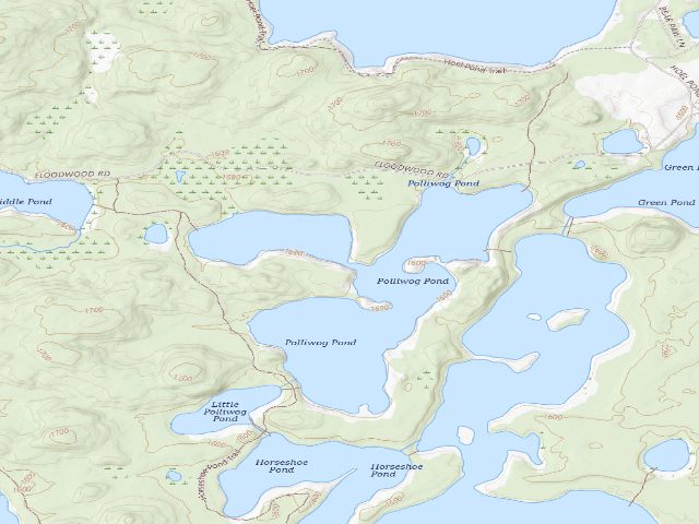 USGS topographic map of Polliwog Pond Site 2 (Saranac Lakes Wild Forest)