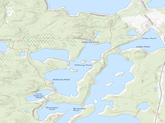 USGS topographic map of Polliwog Pond Site 3 (Saranac Lakes Wild Forest)