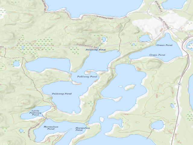 USGS topographic map of Polliwog Pond Site 4 (Saranac Lakes Wild Forest)