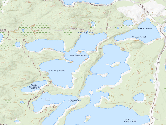 USGS topographic map of Polliwog Pond Site 5 (Saranac Lakes Wild Forest)