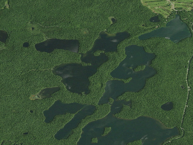 Aerial image of Polliwog Pond Site 6 (Saranac Lakes Wild Forest)
