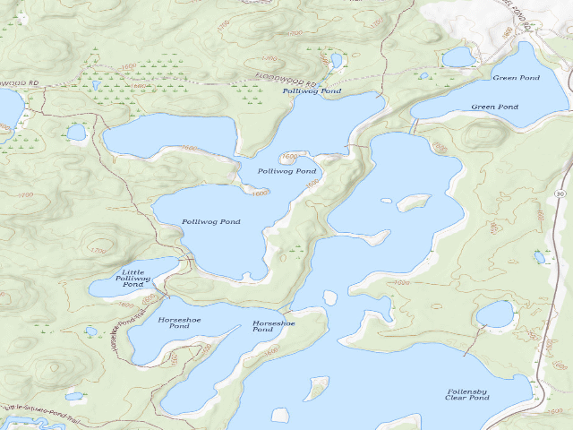 USGS topographic map of Polliwog Pond Site 6 (Saranac Lakes Wild Forest)