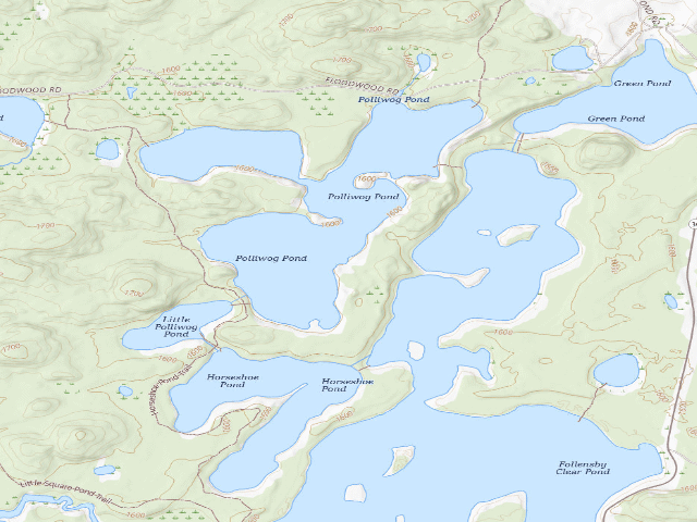 USGS topographic map of Polliwog Pond Site 7 (Saranac Lakes Wild Forest)