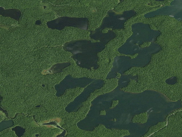 Aerial image of Polliwog Pond Site 8 (Saranac Lakes Wild Forest)