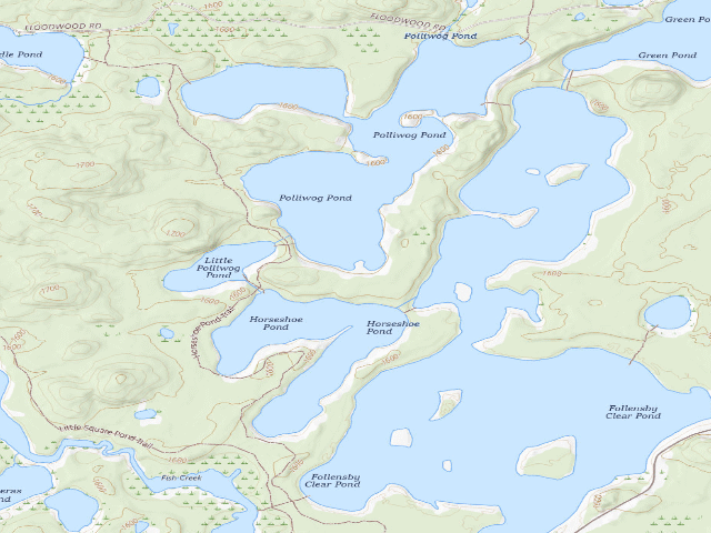 USGS topographic map of Polliwog Pond Site 8 (Saranac Lakes Wild Forest)