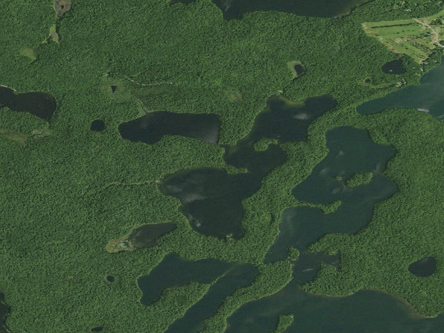 Aerial image of Polliwog Pond Site 9 (Saranac Lakes Wild Forest)