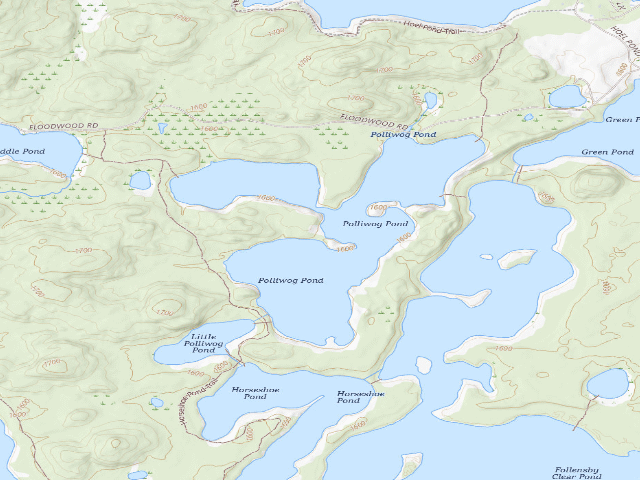 USGS topographic map of Polliwog Pond Site 9 (Saranac Lakes Wild Forest)