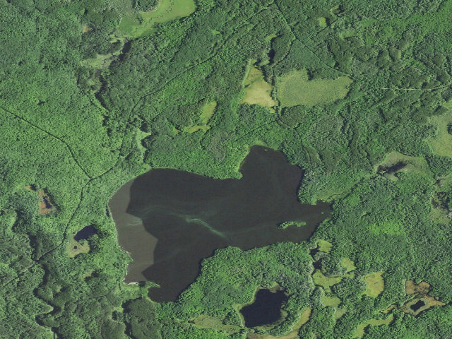 Aerial image of Pomeroy Lake Camp