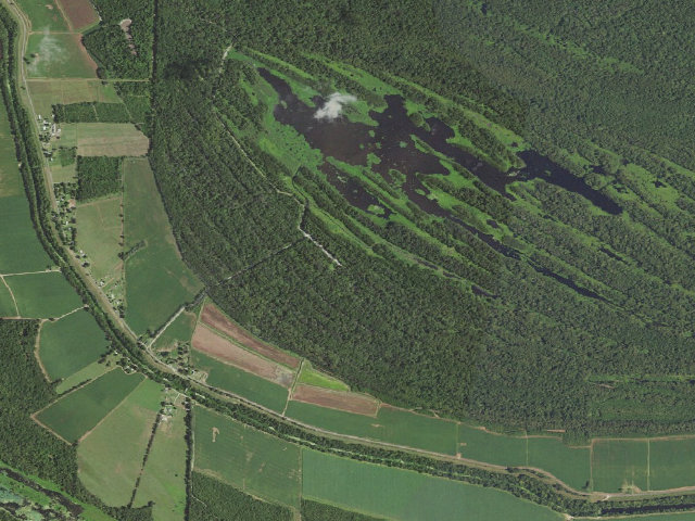 Aerial image of Pomme de Terre WMA primitive camping area 1