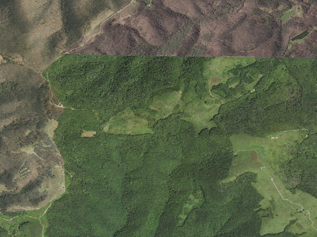Aerial image of Pond Mountain Game Land camping area #3