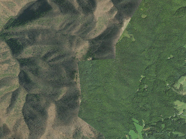 Aerial image of Pond Mountain Game Land camping area #5