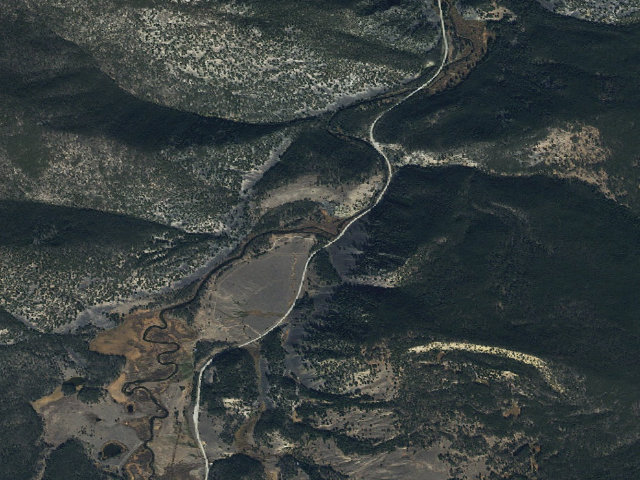 Aerial image of Poor Trees