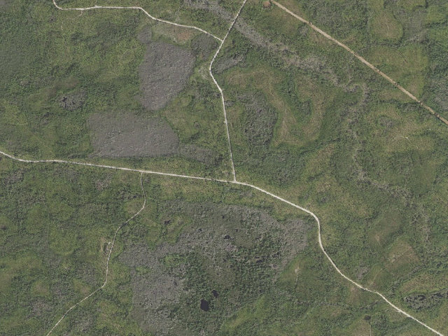 Aerial image of Pope Still Hunt Camp