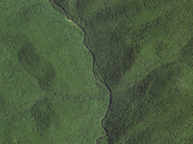 Aerial image of Poplar  Branch Shelter