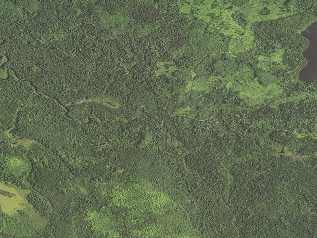 Aerial image of Poplar River Campground