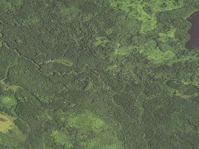 Aerial image of Poplar River Rustic Campground