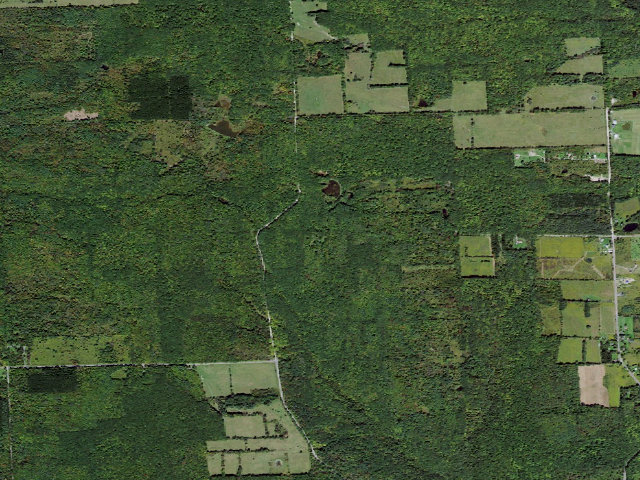 Aerial image of Potomac Group Campground