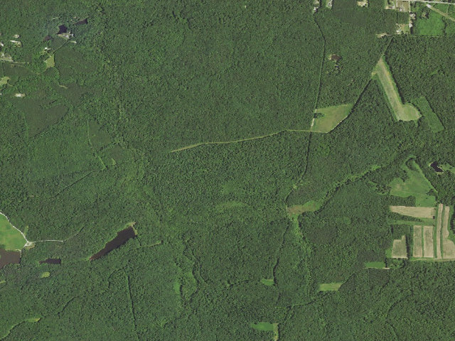 Aerial image of Powhatan WMA