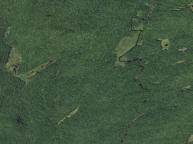 Aerial image of Powley Rd Roadside Campsite (Ferris Lake Wild Forest)