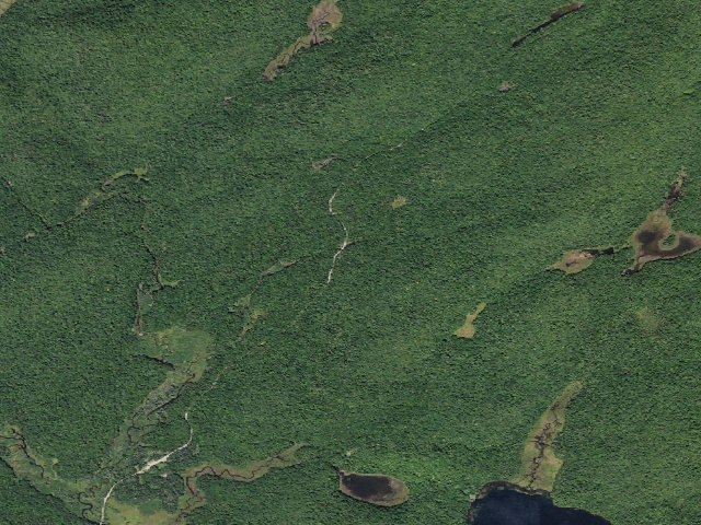 Aerial image of Powley Rd Roadside Campsite (Ferris Lake Wild Forest)