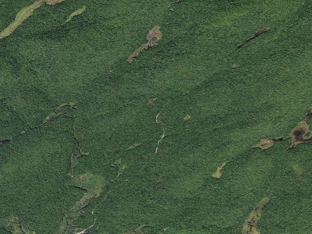 Aerial image of Powley Rd Roadside Campsite (Ferris Lake Wild Forest)
